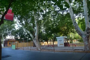 Hallazgo en Capital: investigan restos que podrían vincularse al antiguo Hospital San Roque