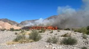 Confirmaron que el incendio en el Parque de Tecnologías Ambientales fue intencional