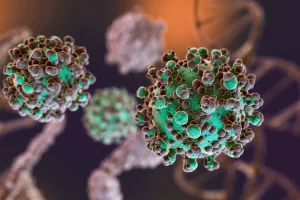 Hantavirus: se identificaron 3 nuevos casos en Argentina