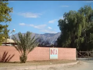 El INTA San Juan advierte que el nuevo régimen de retiros voluntarios pone en riesgo áreas operativas críticas