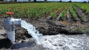 Alarma en San Juan: Reportan un crítico e irreversible deterioro en el Acuífero Tulum