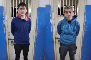Detuvieron a dos hermanos acusados de atacar a tiros a una mujer y arrojar una bomba molotov contra una vivienda