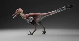 Histórico: hallan una nueva especie de dinosaurio raptor en Santa Cruz