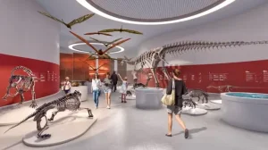 El futuro Museo Paleontológico MUPA finaliza su obra civil y define su propuesta interactiva