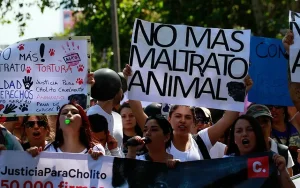 Convocan a una marcha en la Plaza 25 de Mayo para exigir penas de prisión efectiva por maltrato animal