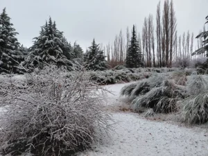 Una intensa nevada tiñó de blanco a Barreal y mantiene en alerta a la zona cordillerana