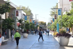 El comercio y los servicios públicos regulan su actividad por las fechas patrias
