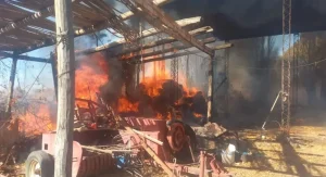 Un incendio de gran magnitud movilizó a bomberos y fuerzas de seguridad en Pocito