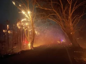 El viento Zonda causó estragos en San Juan con 35 incendios simultáneos y serios destrozos
