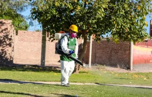 Se viene una nueva semana de desinsectación y desratización en Capital: dónde trabajarán las cuadrillas