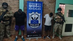 El secuestro de marihuana en la provincia creció casi un 16% mensual durante el primer semestre de 2026