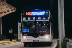 Las empresas afirman que la reducción de colectivos es generalizada y el Gobierno avanza con sanciones