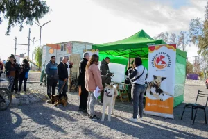 Salud lanzará una campaña masiva y gratuita de esterilización y vacunación en el Parque de Mayo