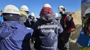 El Proyecto Vicuña iniciará en julio la contratación de sus primeros operarios