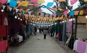 Seis empresas compiten por la obra que transformará la Feria de las Pulgas en un polo gastronómico