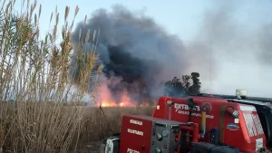 Alerta por viento Zonda: Bomberos advierte que quemar pastizales puede causar desastres