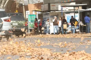 Alerta en San Juan por viento Zonda con ráfagas de hasta 70 km/h