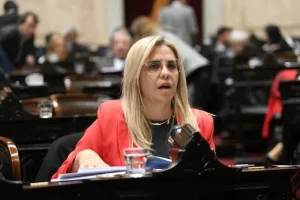 Nancy Picón respaldó el fortalecimiento de las Fuerzas Armadas, pero supeditó su apoyo a la revisión de costos y condiciones